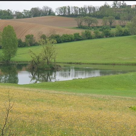 Seuls En Pleine Nature - Gite La Cote Blanche Puygaillard-de-Quercy Eksteriør bilde