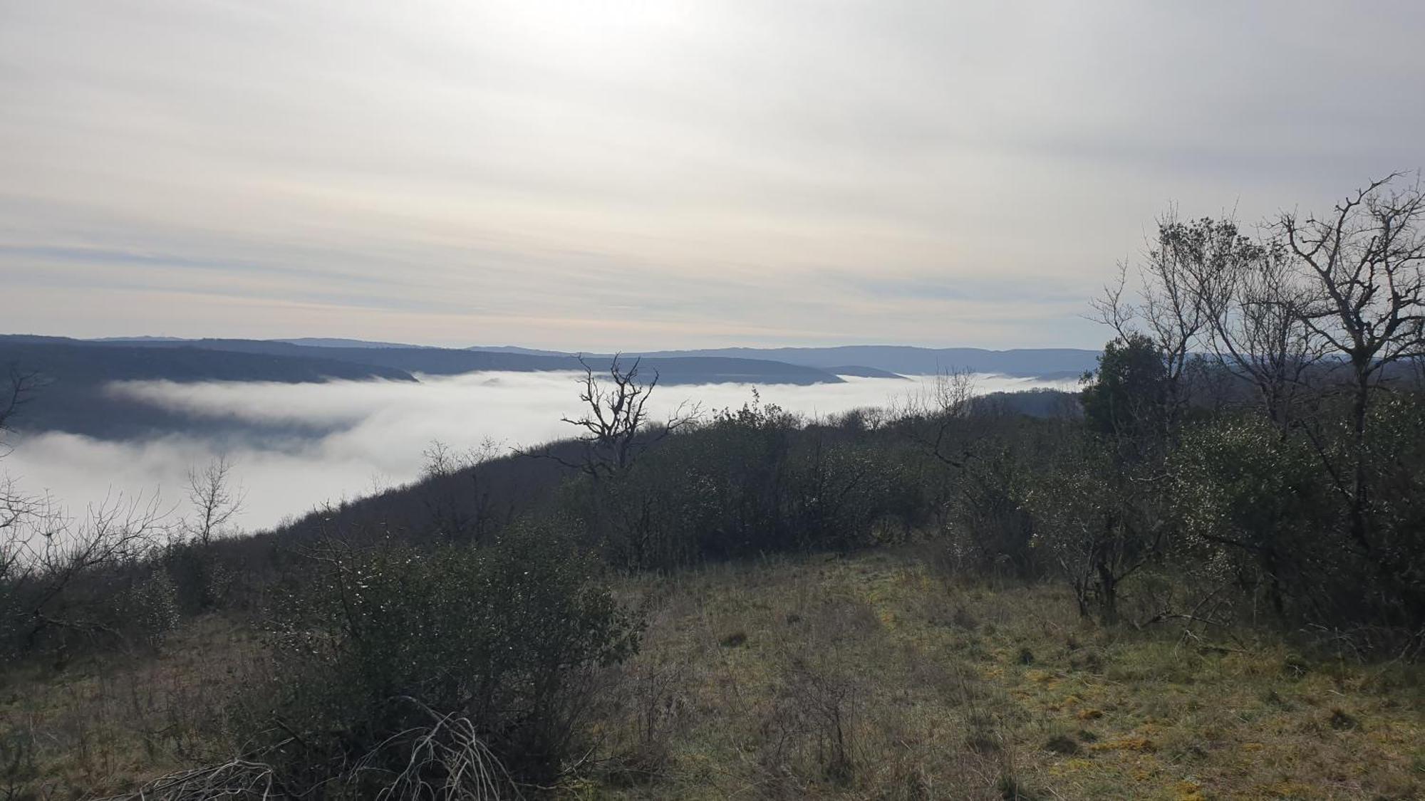 Seuls En Pleine Nature - Gite La Cote Blanche Puygaillard-de-Quercy Eksteriør bilde