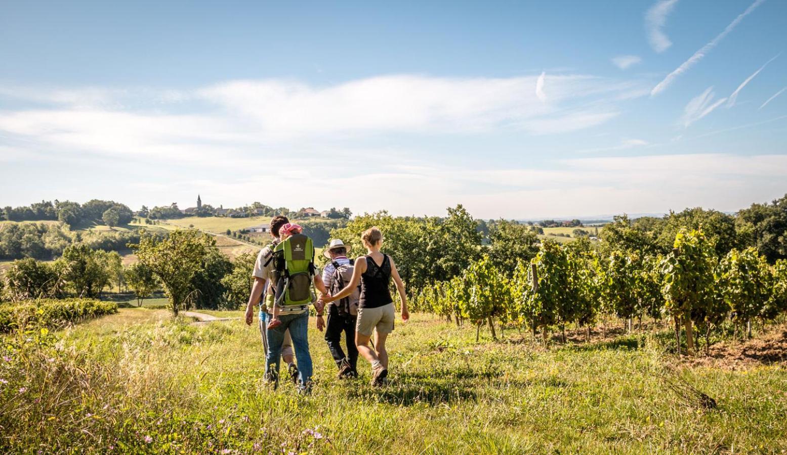 Seuls En Pleine Nature - Gite La Cote Blanche Puygaillard-de-Quercy Eksteriør bilde