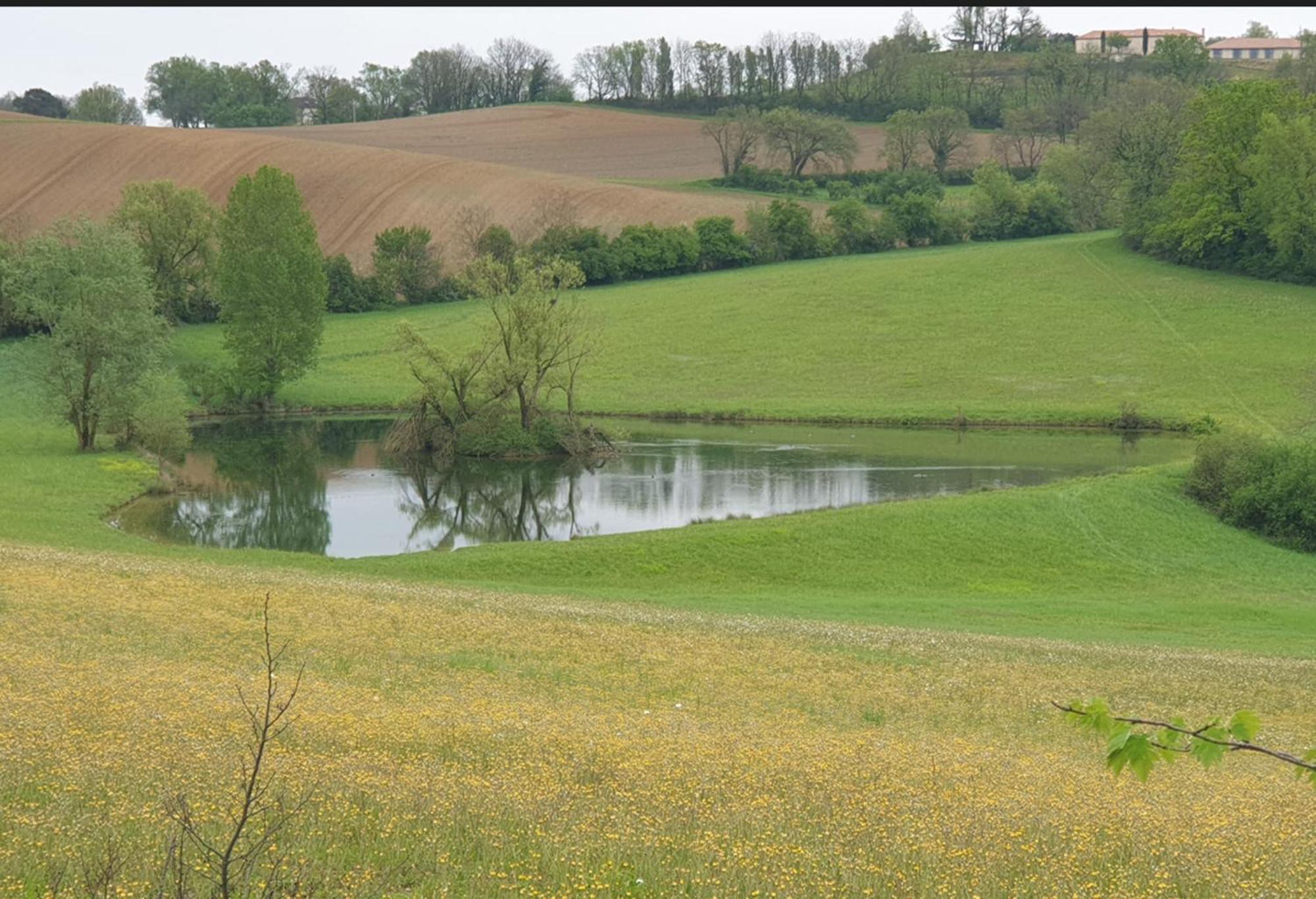 Seuls En Pleine Nature - Gite La Cote Blanche Puygaillard-de-Quercy Eksteriør bilde