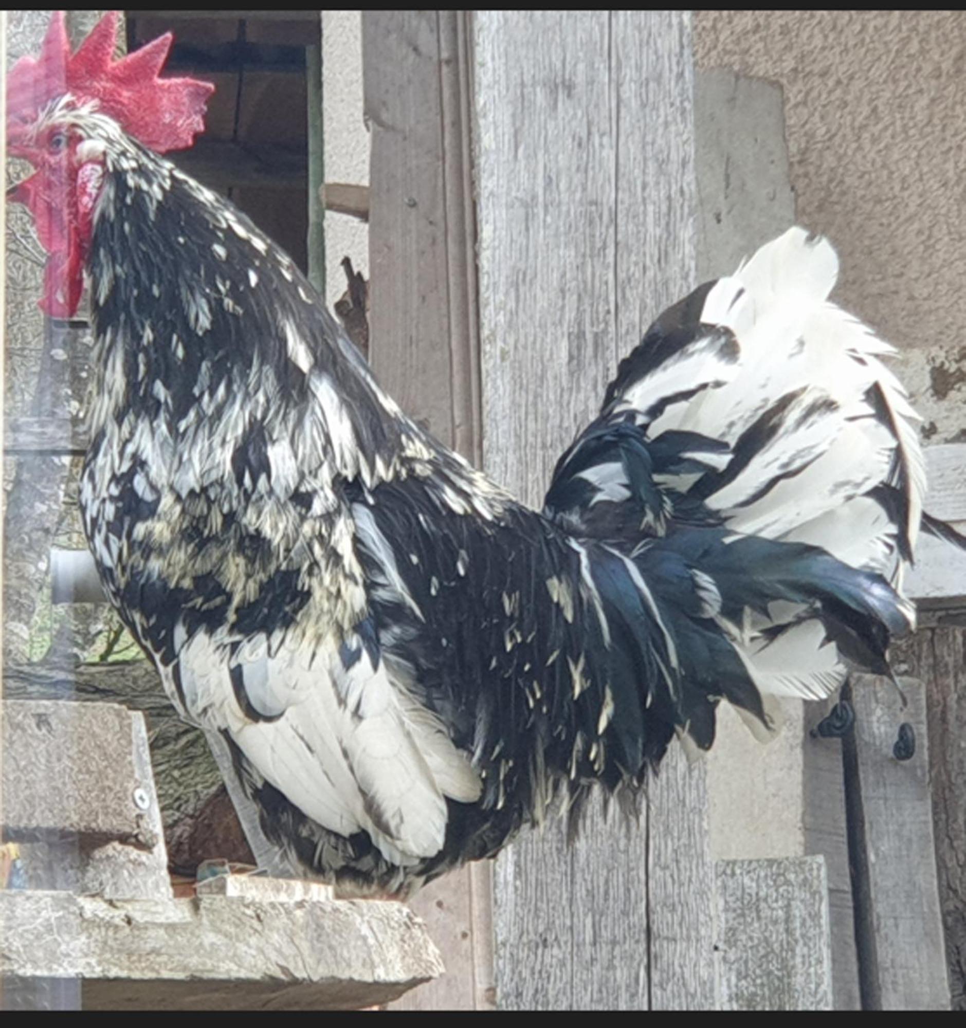 Seuls En Pleine Nature - Gite La Cote Blanche Puygaillard-de-Quercy Eksteriør bilde